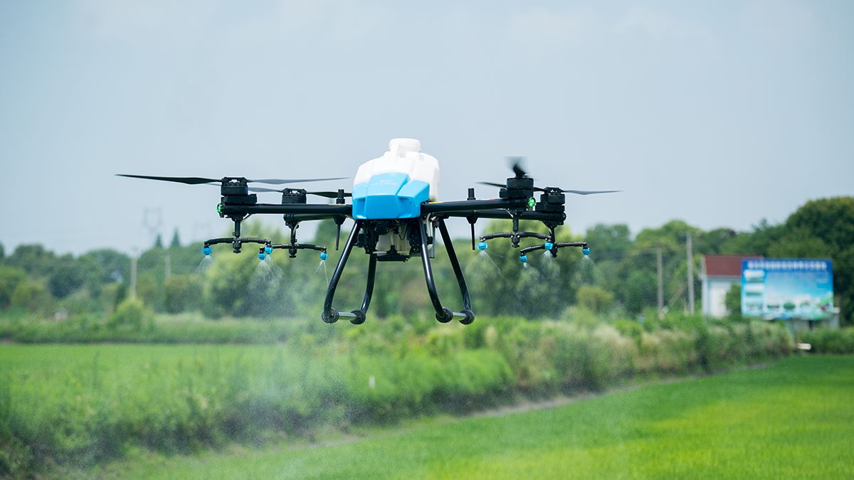 the comparison between traditional pesticide spraying and modern pesticide sp...